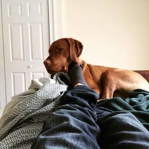 Meet your Posher, James